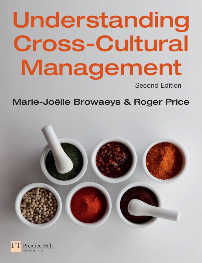 Understanding Cross-Cultural Management, Second Edition — ebook cover