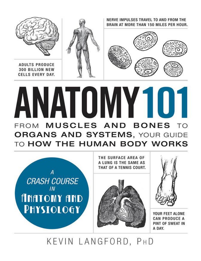 Anatomy 101: Muscles, Bones, Organs & Systems Guide — ebook cover