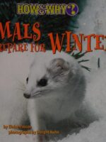 Animals Prepare for Winter (How & Why): A Complete Guide