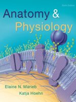 Anatomy & Physiology 6th Edition Marieb Hoehn
