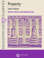 Property: Examples & Explanations, Sixth Edition by Burke and Snoe