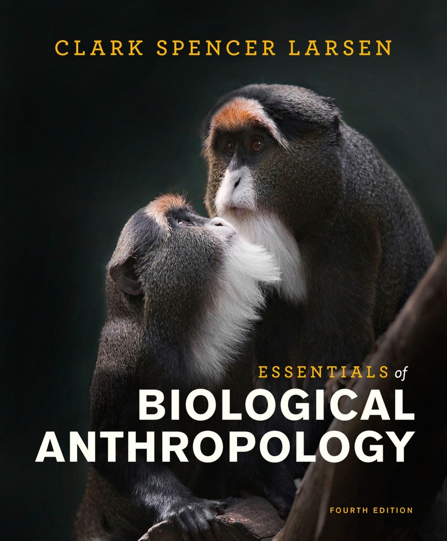 Essentials of Biological Anthropology Larsen Fourth Edition — ebook cover