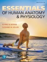 Essentials of Human Anatomy & Physiology, 12th Edition — ebook cover