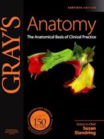 Gray's Anatomy 40th Ed. - Anatomical Basis of Clinical Practice
